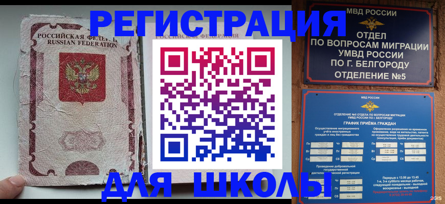 прописка гарантия в Ржеве